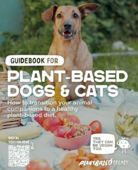 Imagem da notícia Alimentação Vegana para Cães e Gatos: Guia Prático e Consciente